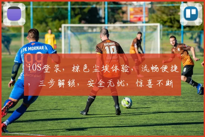 iOS登录，棕色尘埃体验，流畅便捷，三步解锁，安全无忧，惊喜不断
