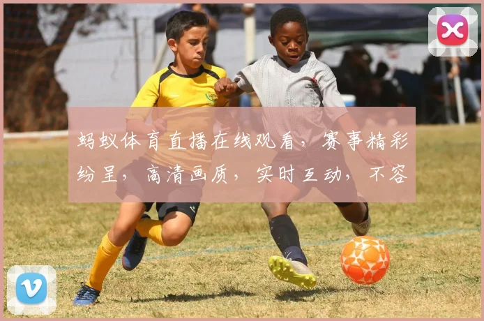 蚂蚁体育直播在线观看，赛事精彩纷呈，高清画质，实时互动，不容错过，
