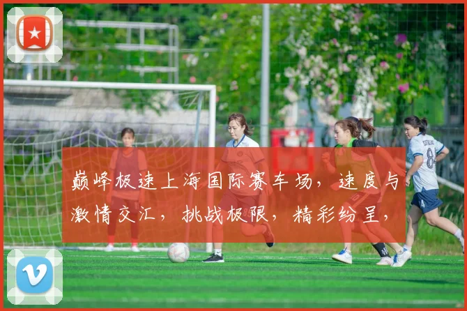 巅峰极速上海国际赛车场，速度与激情交汇，挑战极限，精彩纷呈，不容错过