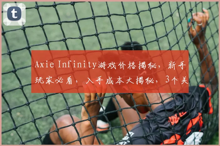 Axie Infinity游戏价格揭秘，新手玩家必看，入手成本大揭秘，3个关键点，不容错过