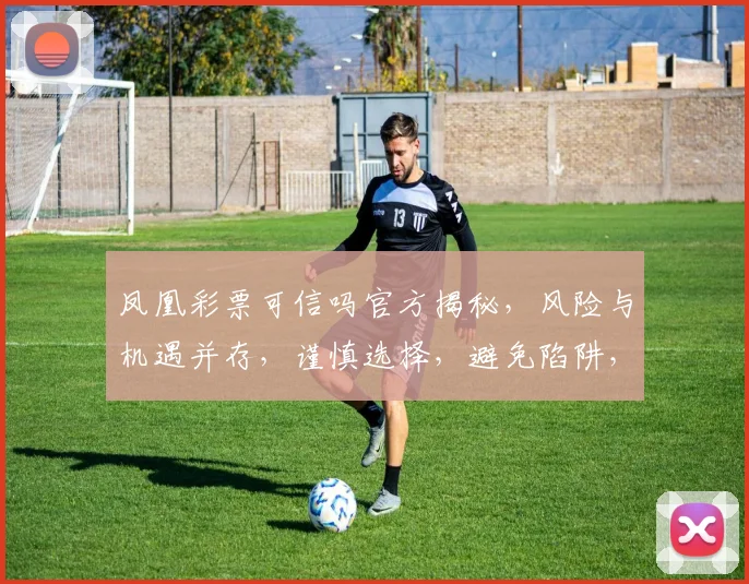 凤凰彩票可信吗官方揭秘，风险与机遇并存，谨慎选择，避免陷阱，三思而后行。