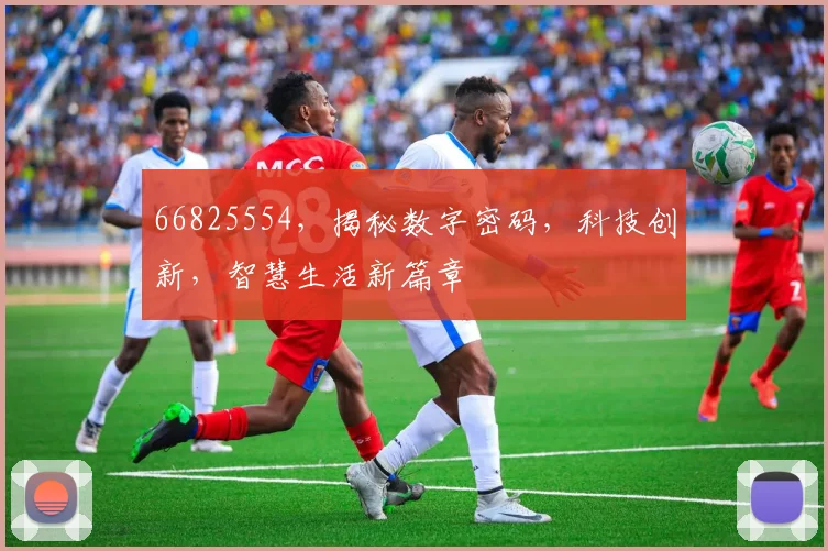 66825554，揭秘数字密码，科技创新，智慧生活新篇章